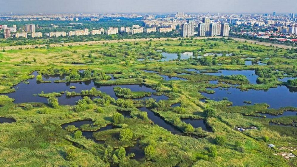 Regulament pentru Parcul Natural Văcărești. Fumatul, grătarele și trotinetele electrice, interzise