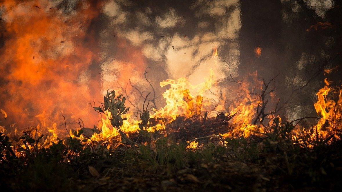 Focare și incendii de vegetație în Grecia