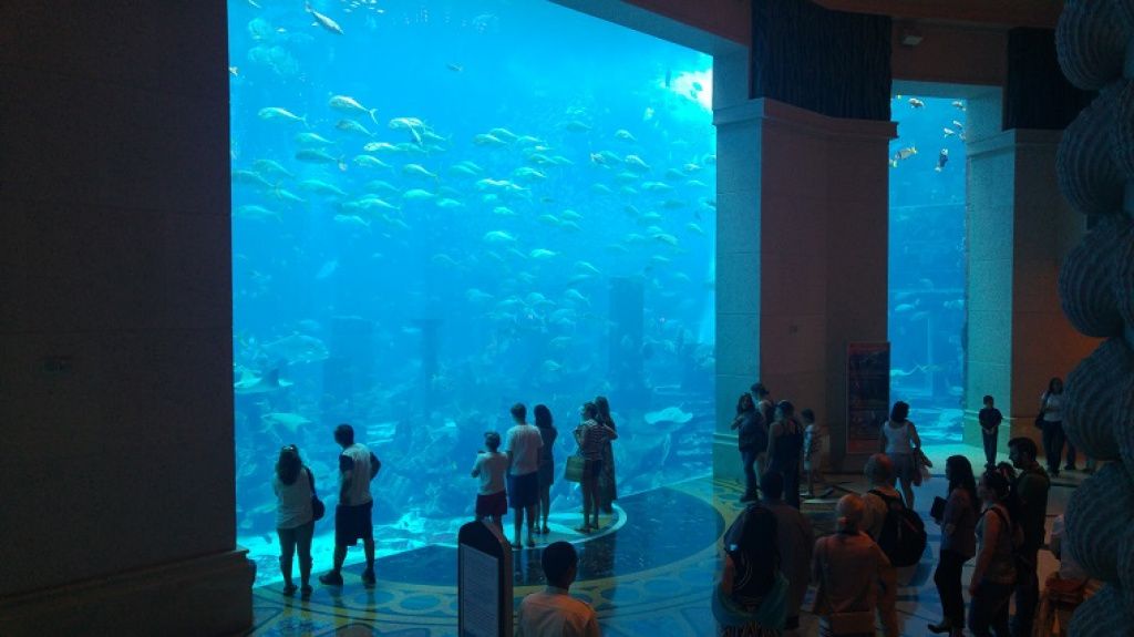 Acvariul din Hotel Atlantis