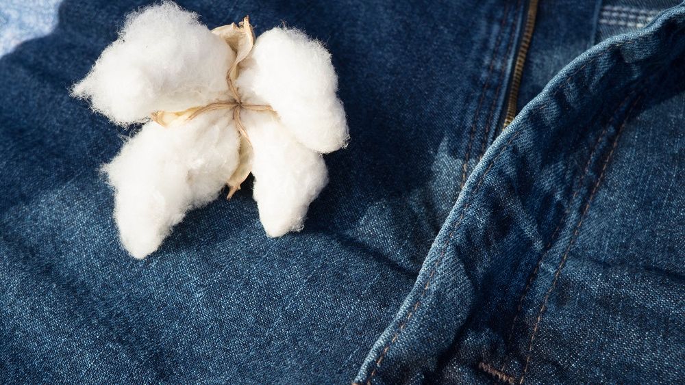 Glami.ro, motorul de cautare e-fashion din Romania, lanseaza primul ghid online pentru moda sustenabila