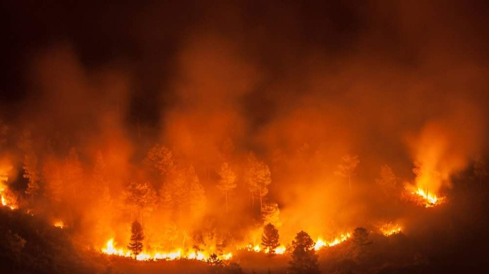 Incendii de proporții în Grecia. Ce se întâmplă cu turiștii români care se află în Rhodos