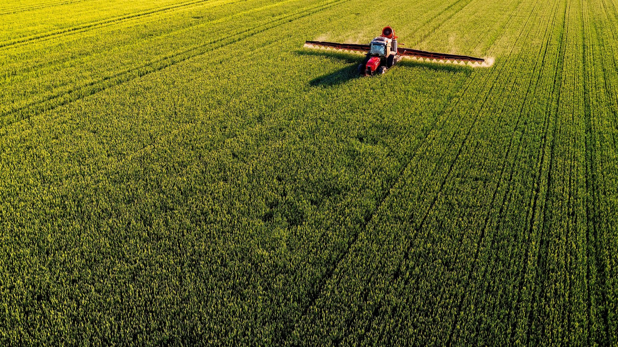 Circuitul nevăzut al hranei: cum se întorc nutrienții din ferme și fabrici în terenurile agricole