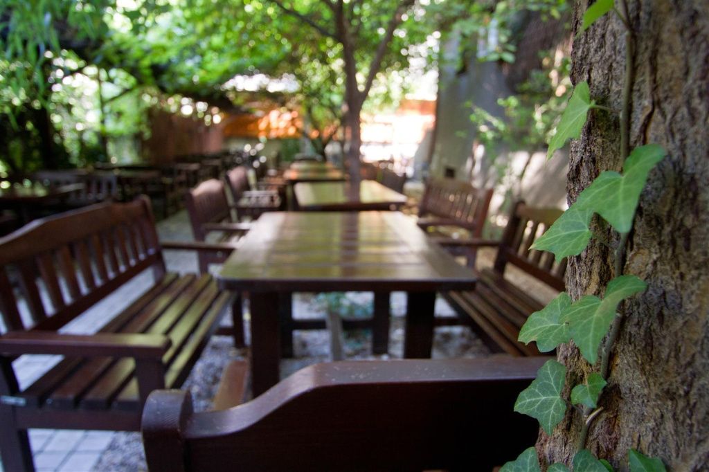 FOTO | Terase verzi București. Cinci oaze de răcoare în Capitală: există locuri unde mai găseÈ - Imagine 1