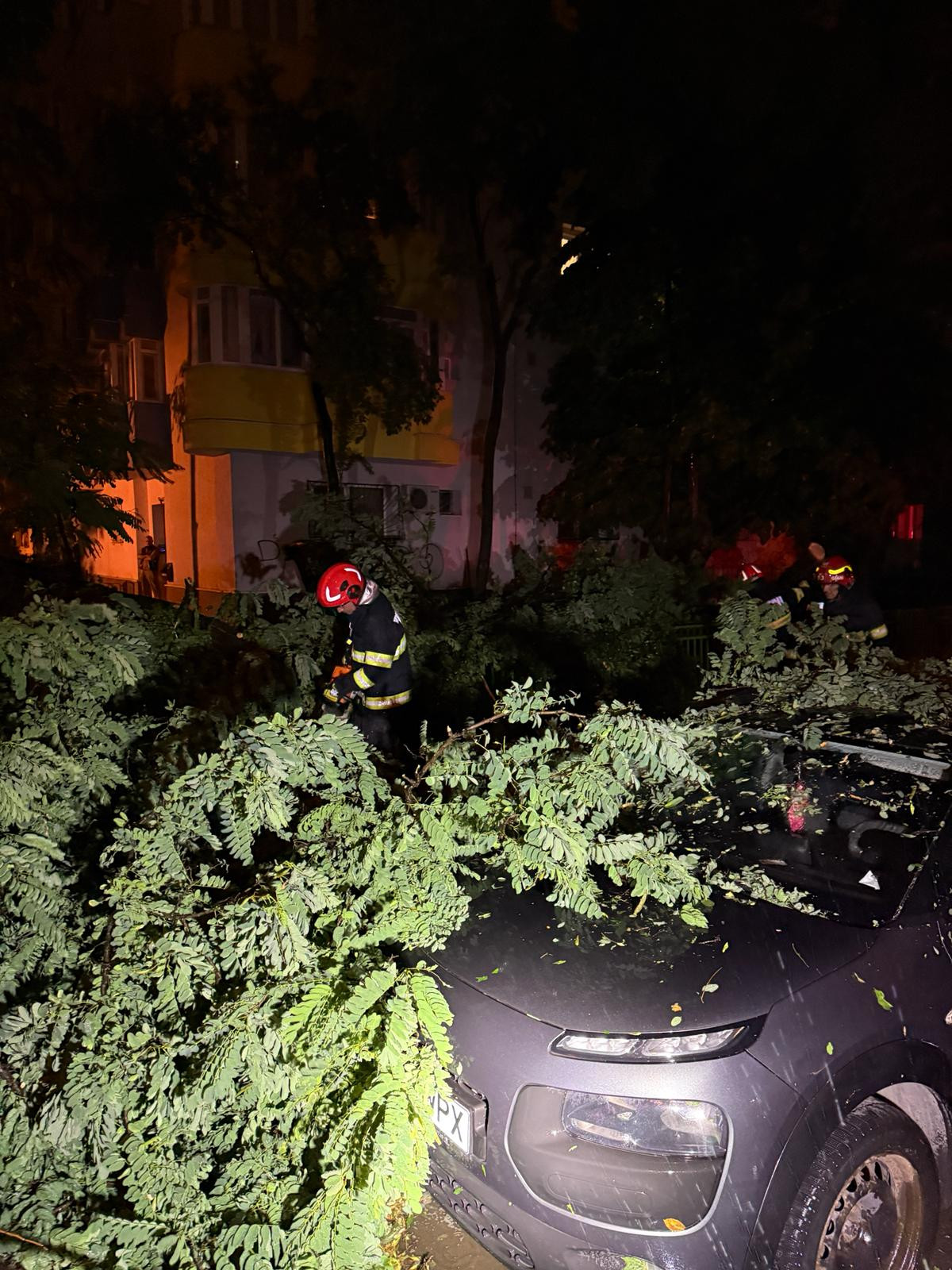 Bilanț după furtuna din București și Ilfov: copaci căzuți, drumuri blocate și o victimă în Ilfov