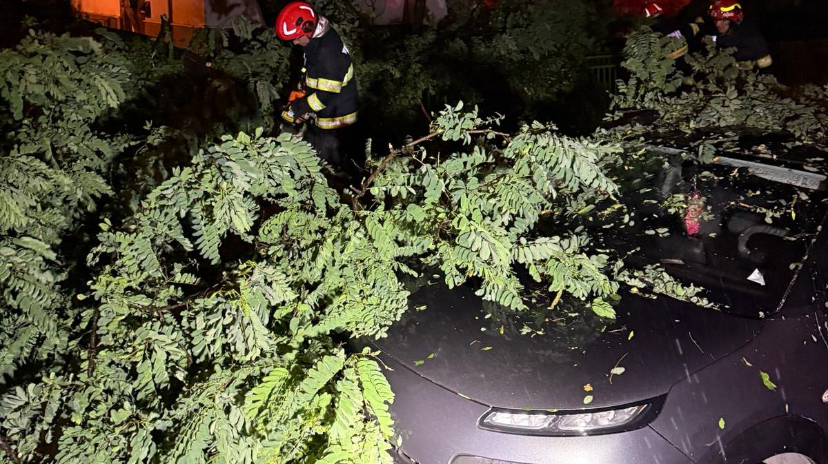 Bilanț după furtuna din București și Ilfov: copaci căzuți, drumuri blocate și o victimă în Ilfov