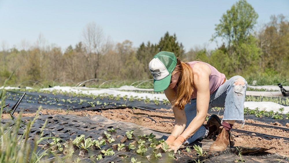 Ce cred românii despre sustenabilitate: 67% dintre români au o opinie mai bună despre firmele care se implică în societate