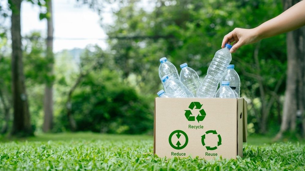 OUG 154/2024: Firmele care au avut ambalaje SGR nereciclate nu mai trebuie să plătească bani statului