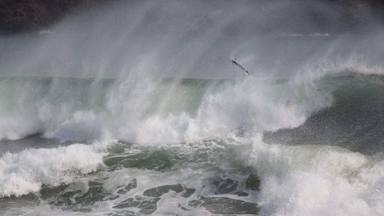 O uriaşă placă tectonică de sub Oceanul Indian se rupe în două