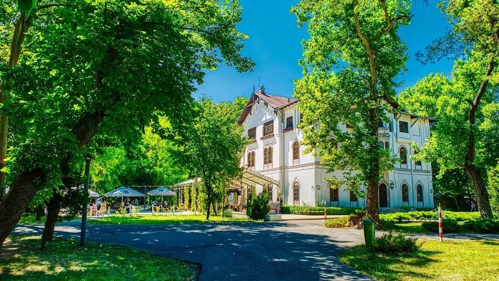 Domeniul Știrbei este scos din nou la vânzare pentru aproape 8 milioane de euro