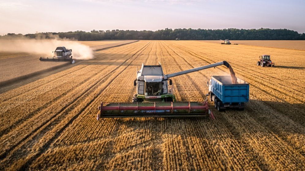 Plata urgentă a subvenţiilor APIA şi investiţii în ferme: revendicările Alianței pentru Agricultură și Cooperare de la autorități