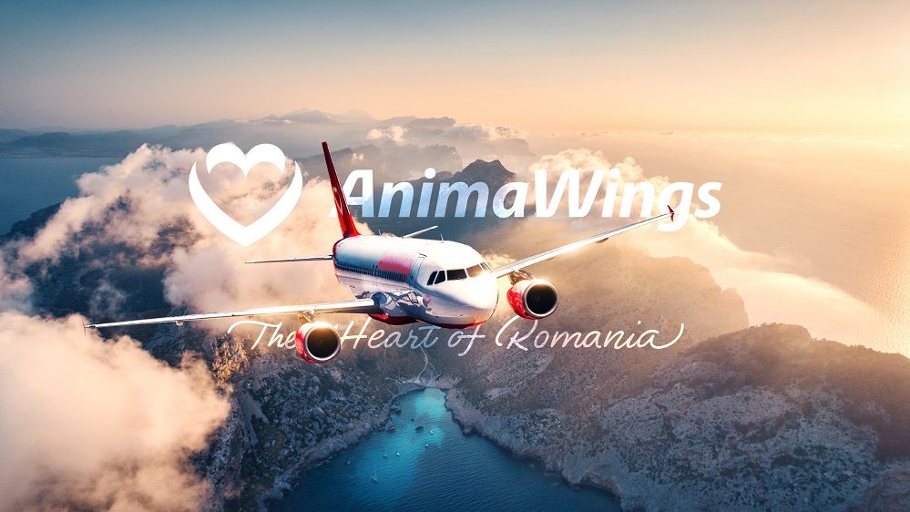 Noi zboruri către Maroc. AnimaWings lansează curse către Marrakesh