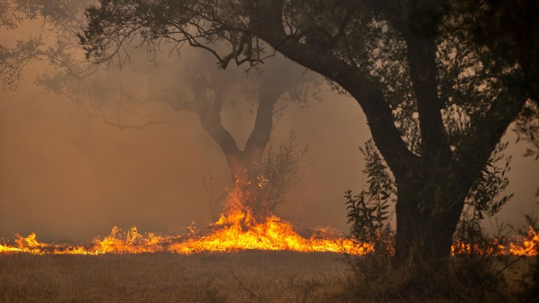 Un român a fost arestat în Grecia: e acuzat că a provocat un incendiu