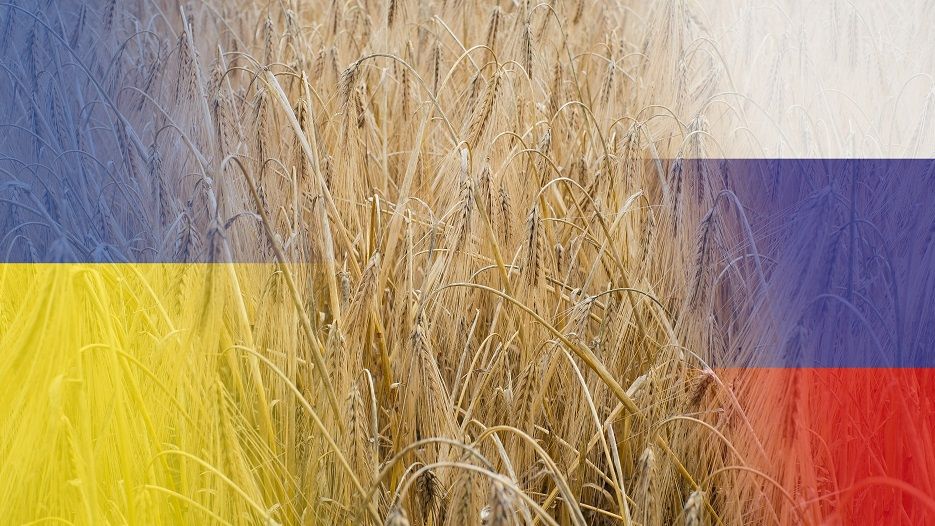 Moscova ar reveni în acordul cerealelor. Dar vrea eliminarea restricţiilor pentru exporturile de cereale şi îngrăşăminte mai întâi