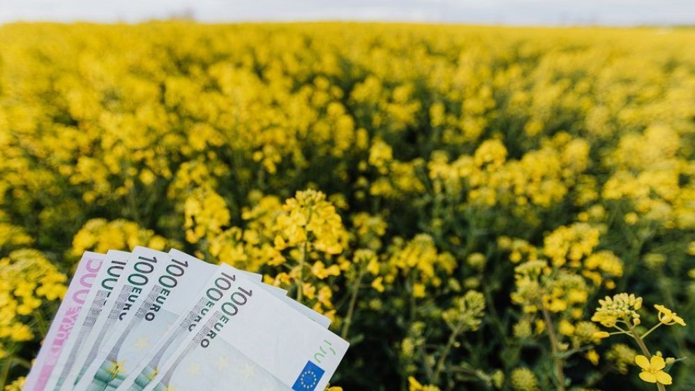 Bani de la UE pentru fermieri. Comisia Europeană a aprobat două scheme de ajutor de stat