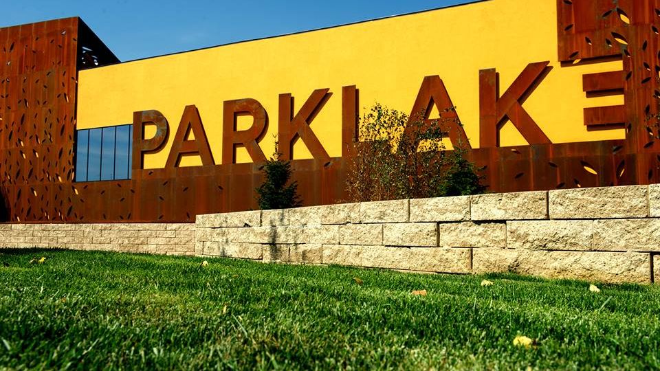 Elis Pavaje, contract de 1 mil. lei pentru amenajarea exterioara a mall-ului ParkLake