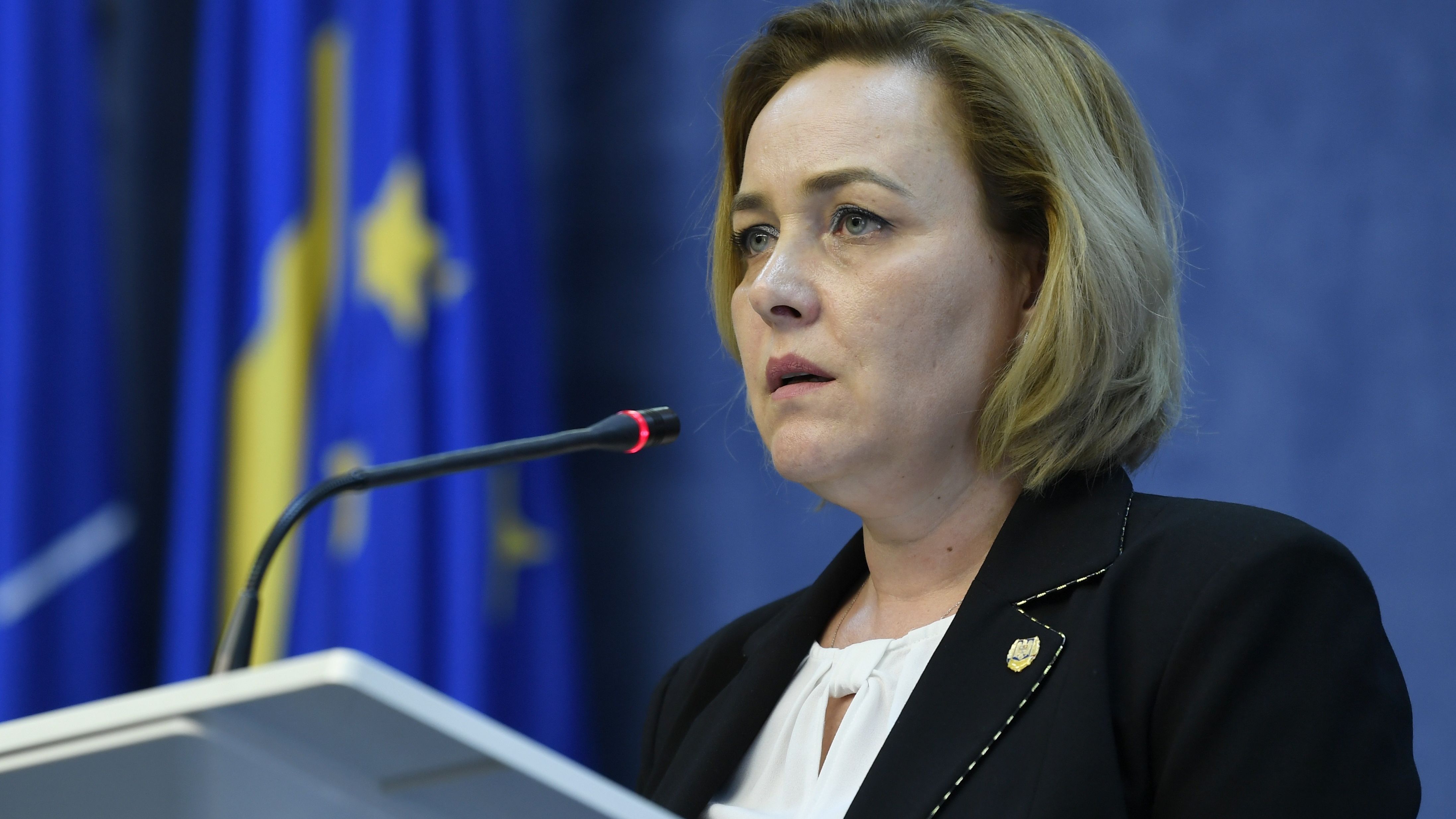 Ministrul de Interne Carmen Dan va fi audiata in Comisia de aparare a Parlamentului in urma protestului de vineri