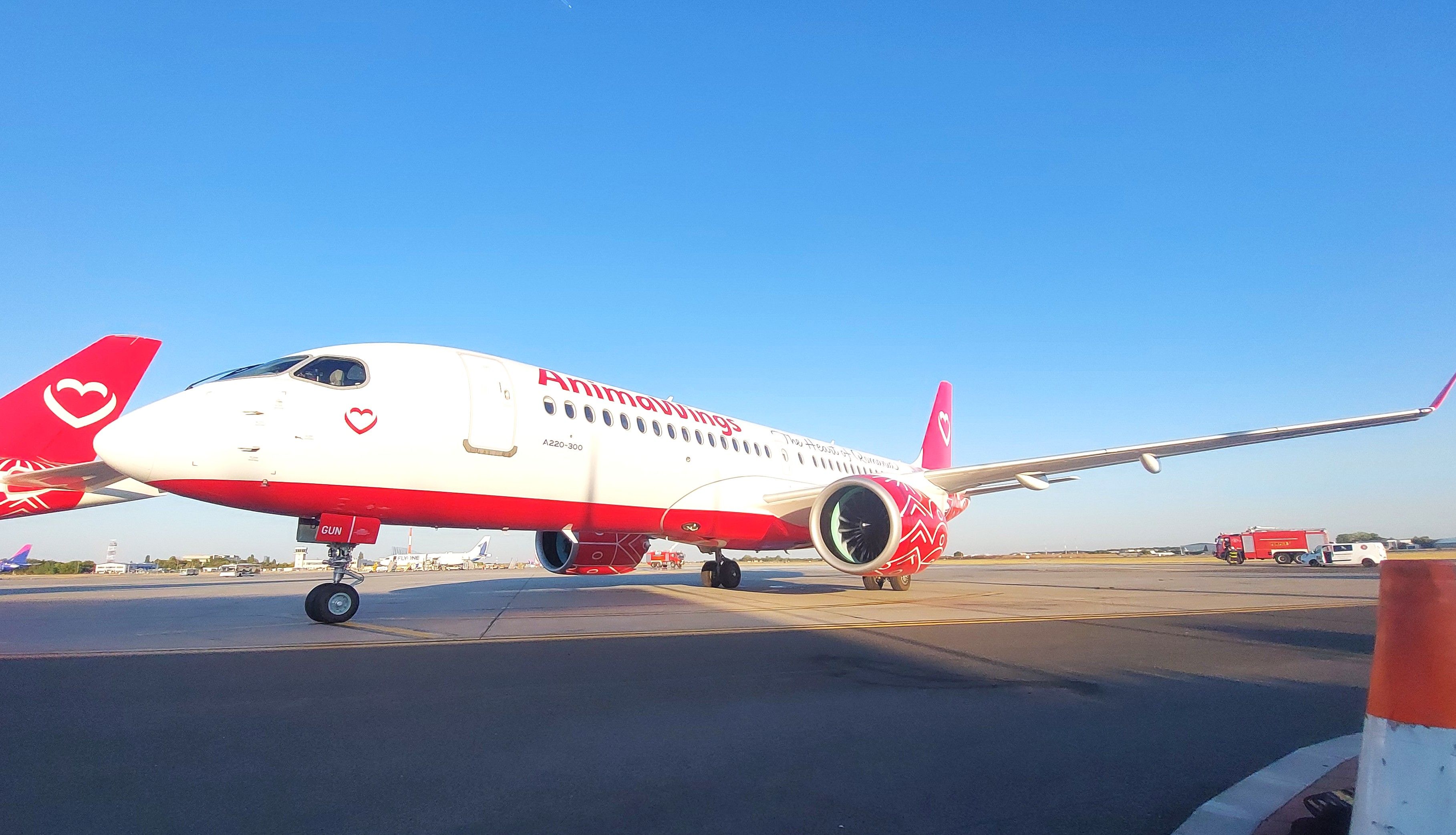 FOTO-VIDEO | Cum arată cea mai nouă aeronava inaugurată de AnimaWings. Compania vrea să ajungă la o flotă de 18 aeronave în următorii doi ani - Poza 16