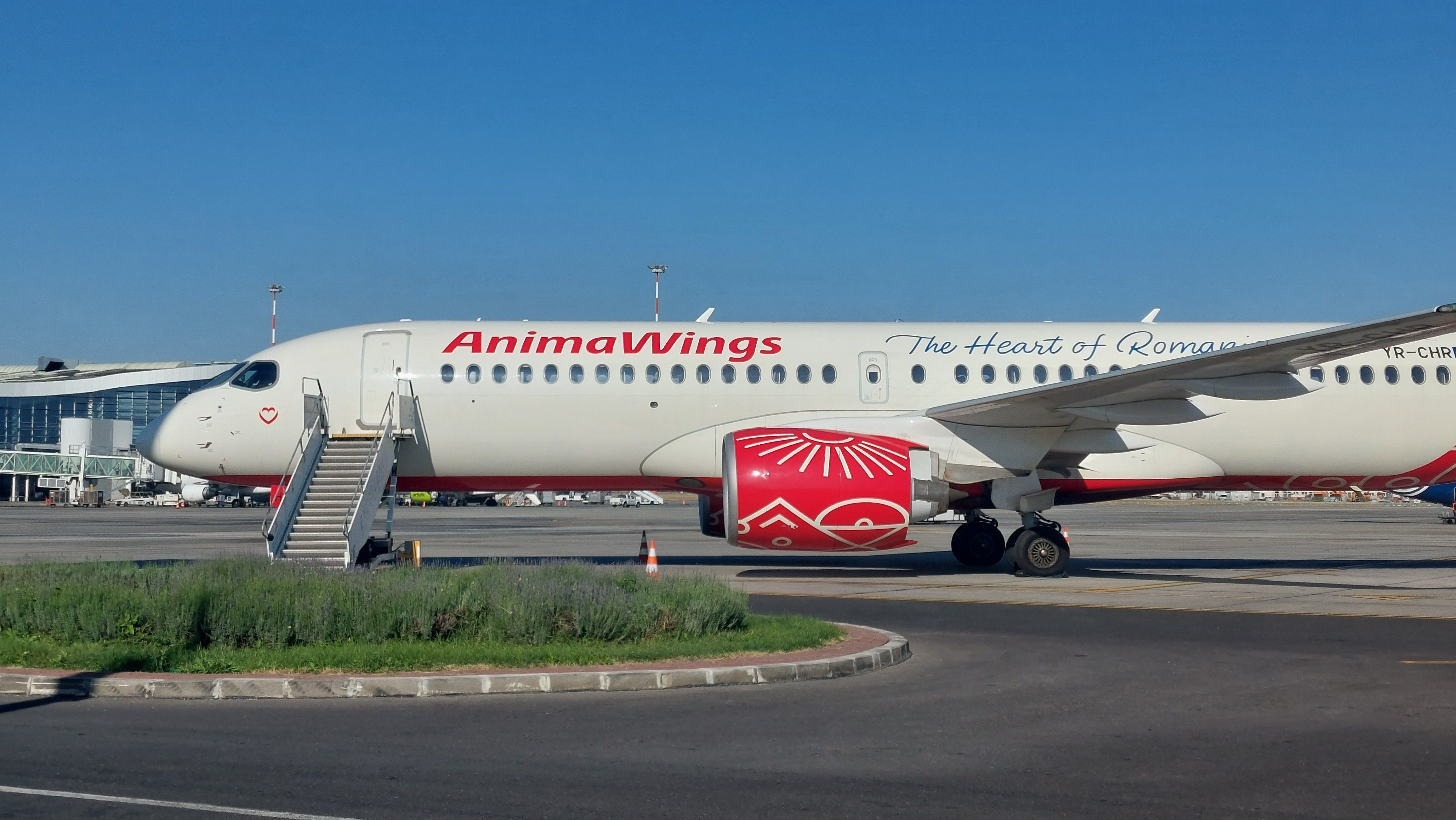 FOTO-VIDEO | Cum arată cea mai nouă aeronava inaugurată de AnimaWings. Compania vrea să ajungă la o flotă de 18 aeronave în următorii doi ani - Poza 4