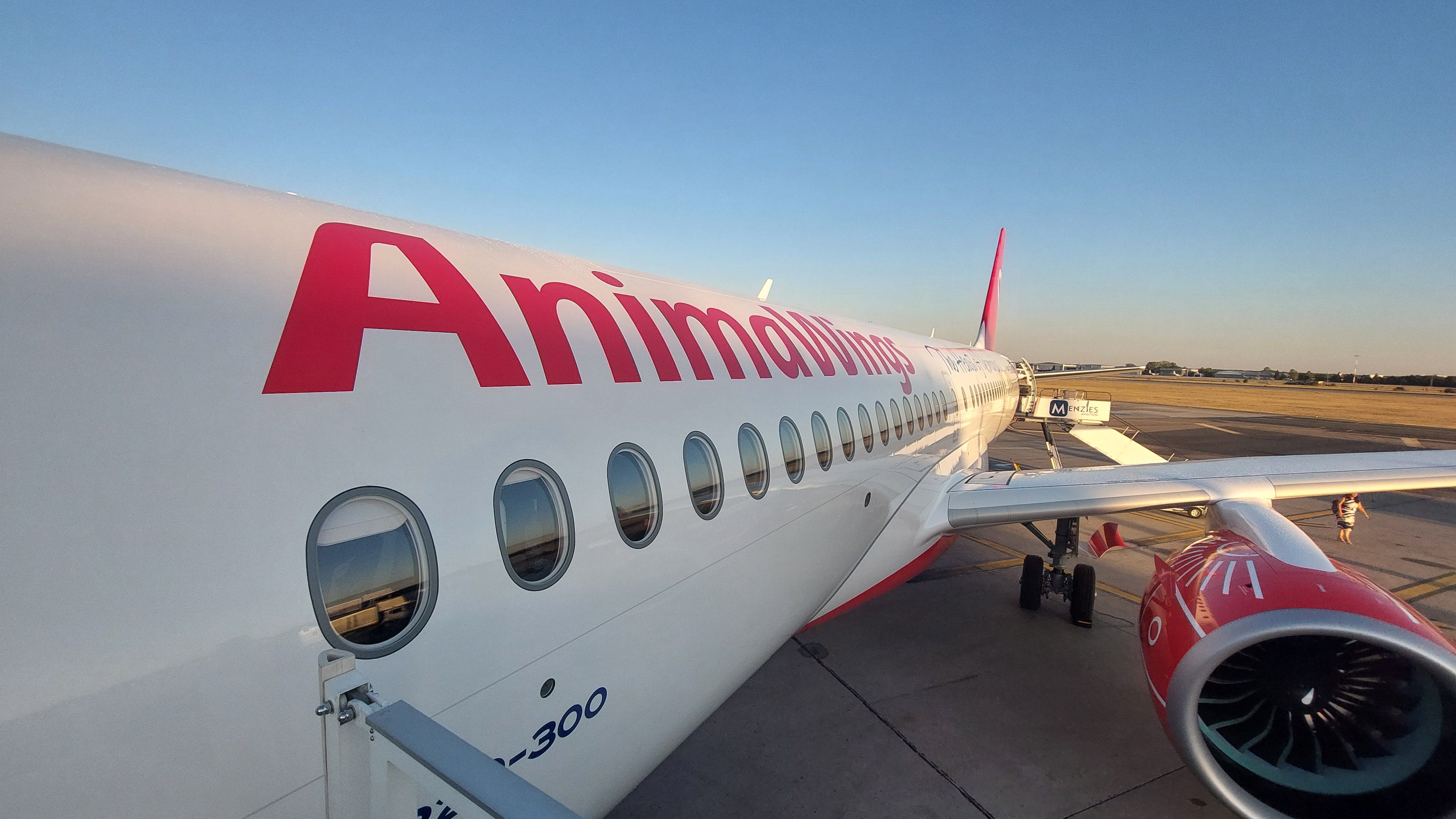 AnimaWings inaugurează zboruri directe din București către Istanbul și Tel Aviv