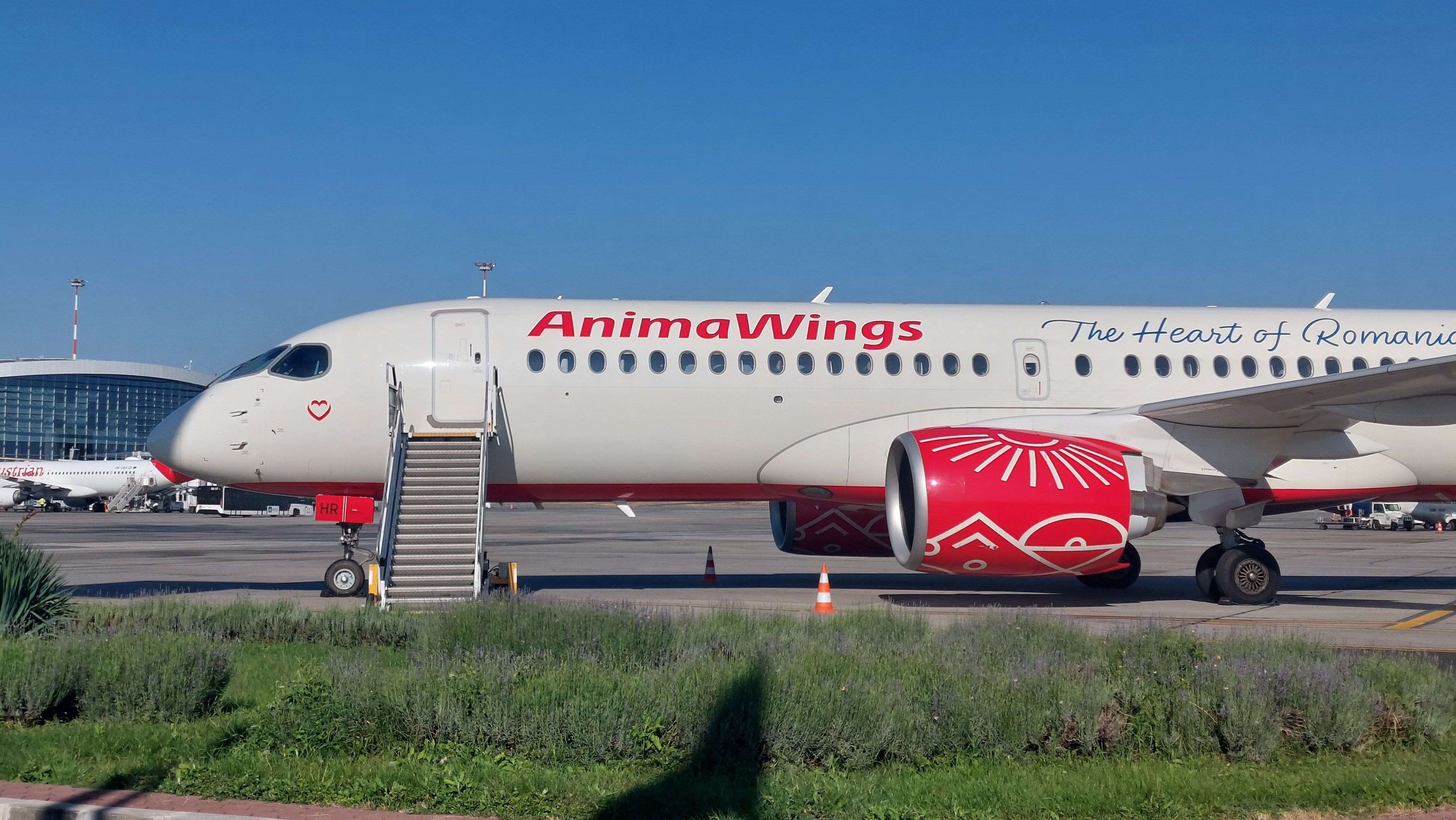 FOTO-VIDEO | Cum arată cea mai nouă aeronava inaugurată de AnimaWings. Compania vrea să ajungă la o flotă de 18 aeronave în următorii doi ani - Poza 6