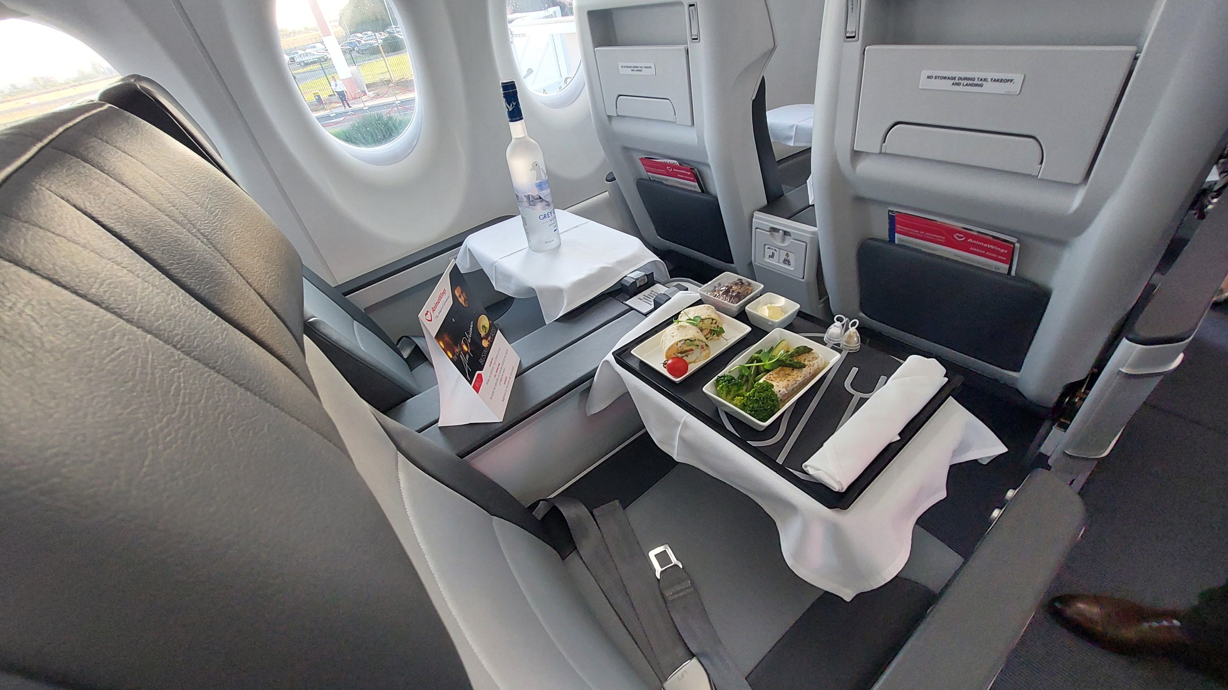 FOTO-VIDEO | Cum arată cea mai nouă aeronava inaugurată de AnimaWings. Compania vrea să ajungă la o flotă de 18 aeronave în următorii doi ani - Poza 28