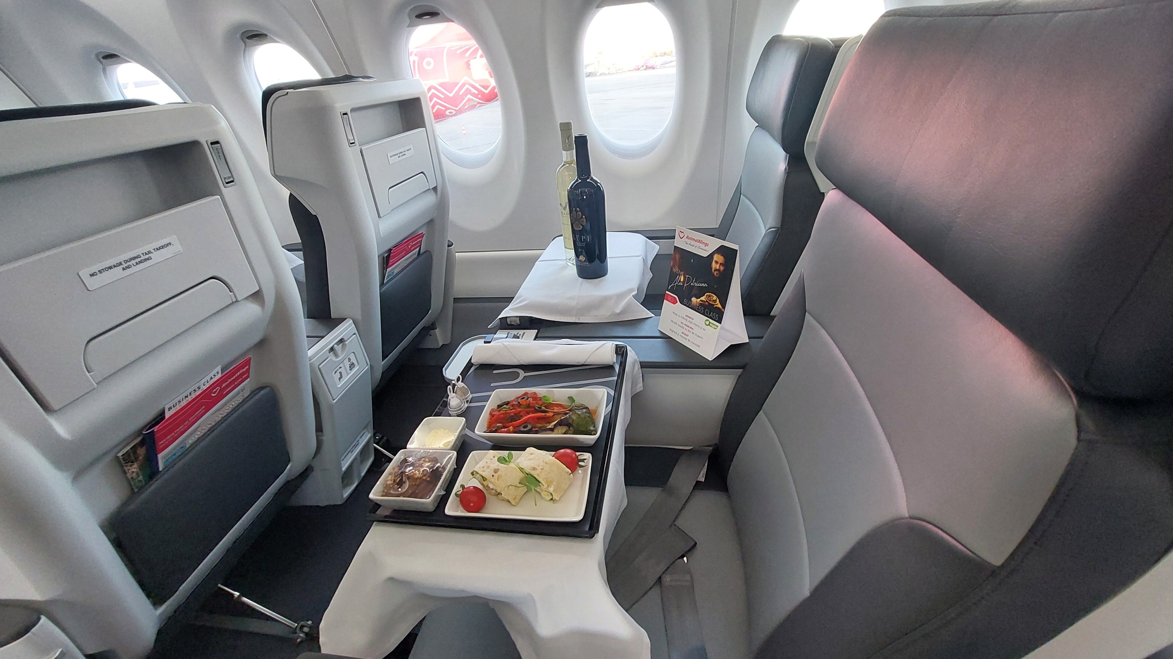 FOTO-VIDEO | Cum arată cea mai nouă aeronava inaugurată de AnimaWings. Compania vrea să ajungă la o flotă de 18 aeronave în următorii doi ani - Poza 27