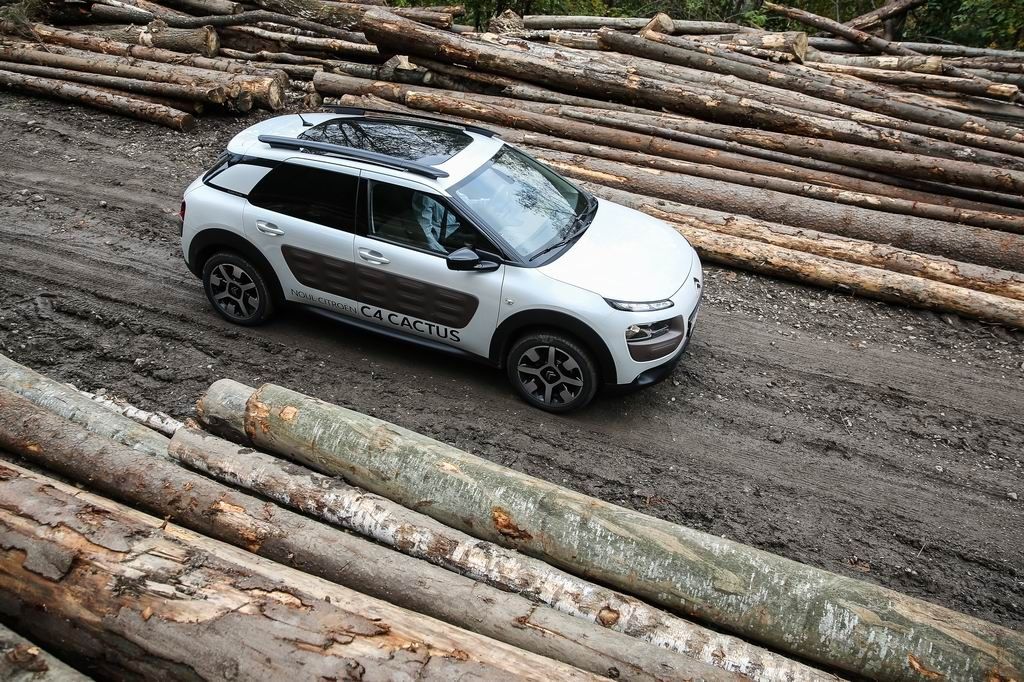 Citroen C4 Cactus - Imagine 18
