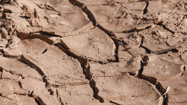 Semnal de alarma pentru agricultura: desertificarea ar putea sterge circa 7 milioane de hectare de teren