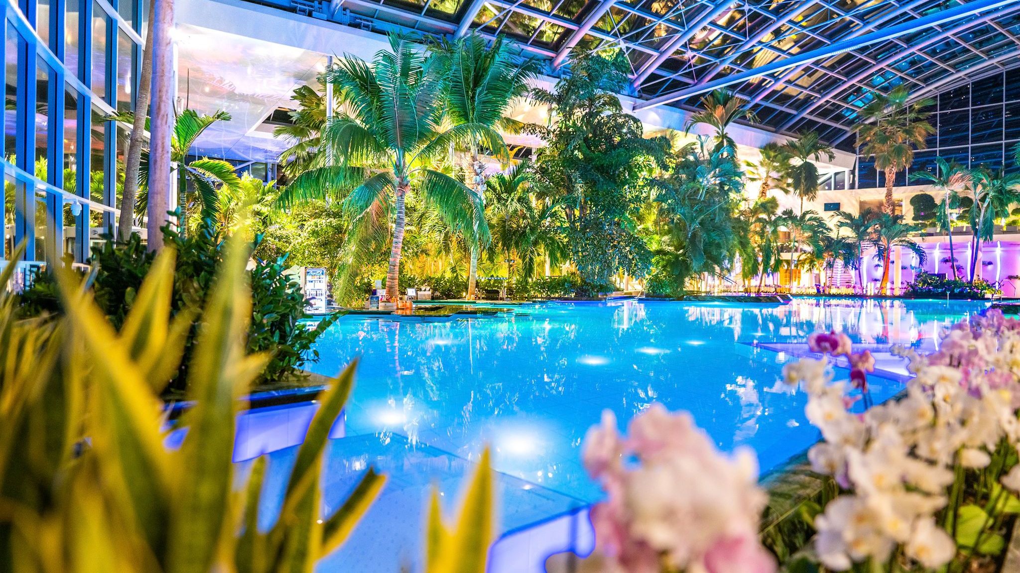 Black Friday și la Therme București: ce reduceri sunt pregătite