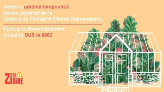 Asociația Zi de Bine construiește o grădină terapeutică pentru 200 de pacienți de la Spitalul de Psihiatrie Eftimie Diamandescu
