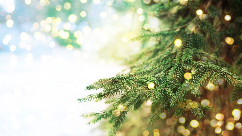 Ce planuri si bugete au romanii pentru Craciun si Revelion?