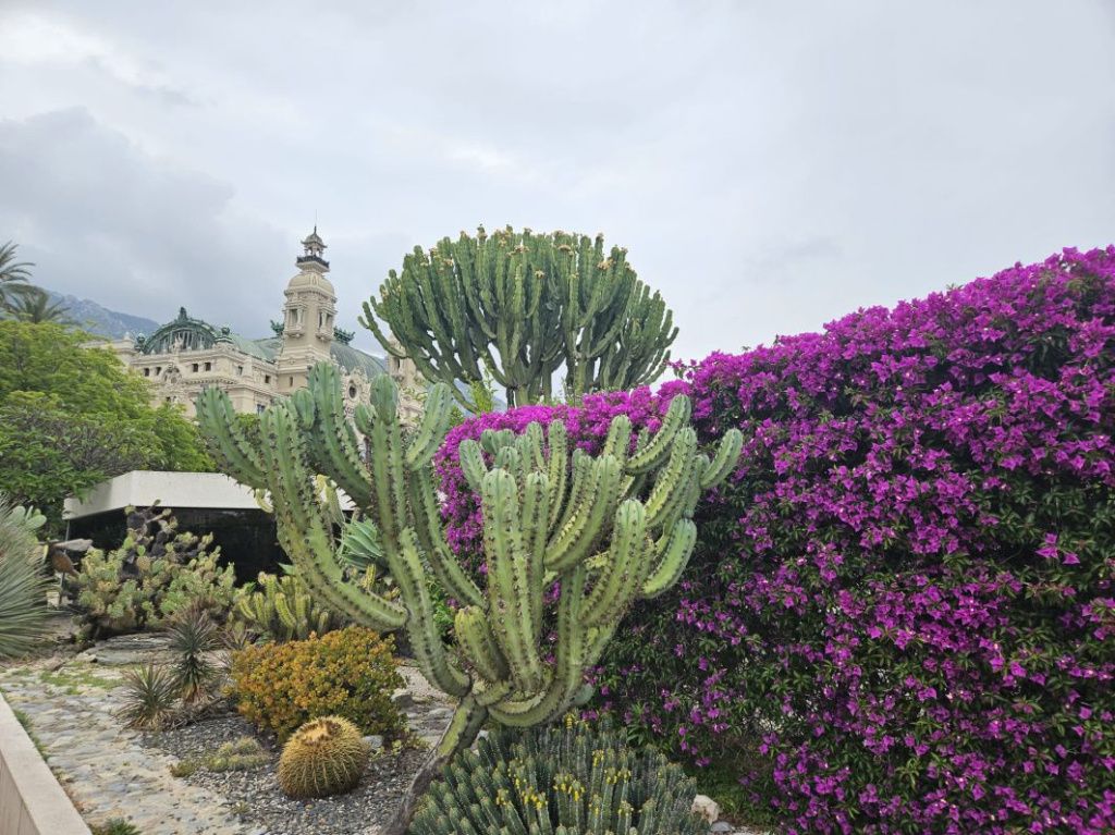 Coasta de Azur 2025 - Imagine 25