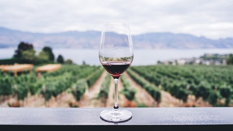 Producătorul românesc de vin ecologic Vifrana vine pe bursă