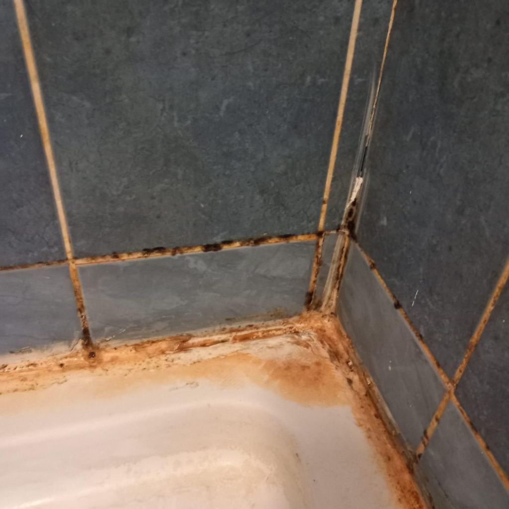 FOTO: Controale ANPC în campusurile universitare. Unele au fost deja închise. Piedone: "žCei care - Imagine 5