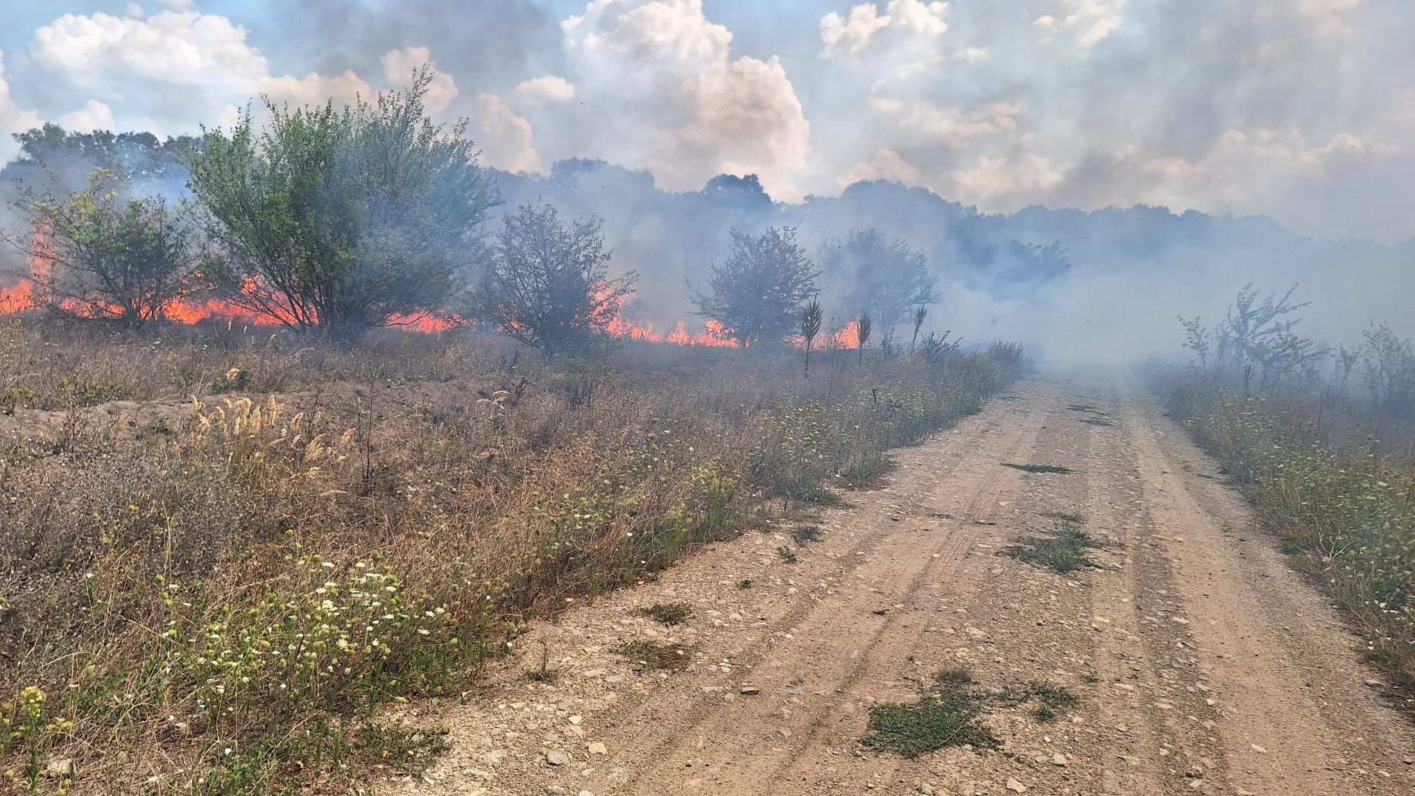 Incendiu puternic în Nordul Capitalei: peste 30 de hectare sunt afectate