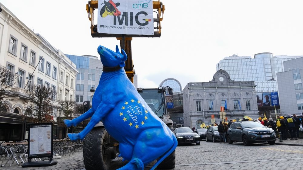 Acordul UE - Mercosur: Ce înseamnă, cât contează pentru România și de ce a speriat agricultorii europeni