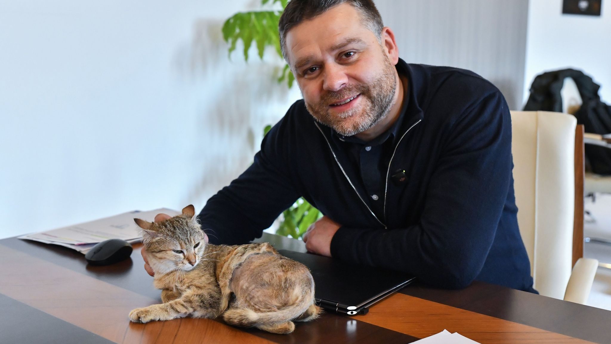 Primarul Capitalei va împărți biroul cu o pisică. Cine este Cathy și când își va începe „îndatoririle”