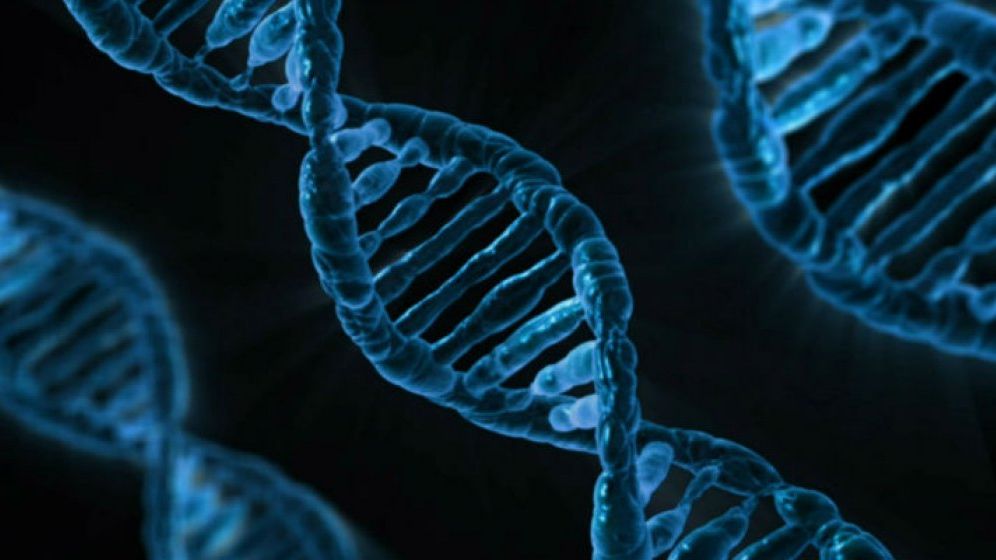 Noul coronavirus nu este la fel de puternic ca SARS, dar este mult mai contagios