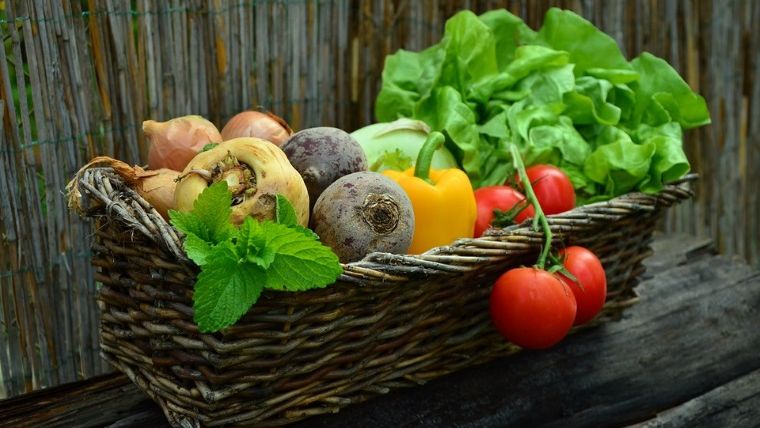 Subventiile fermierilor ar putea ajunge la 106 milioane de euro pentru culturile vegetale