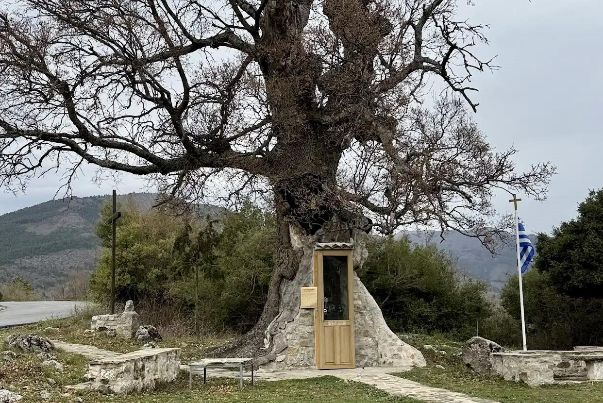 Biserica ridicată în trunchiul unui copac, încă o destinație turistică ...