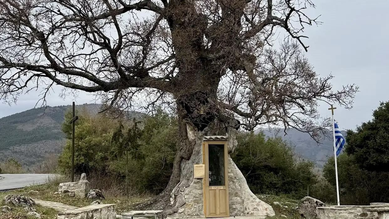 Biserica ridicată în trunchiul unui copac, încă o destinație turistică unică în Grecia