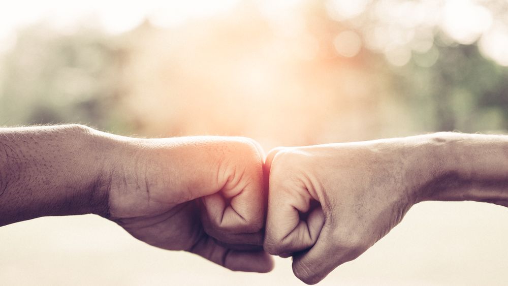 Razboiul de la SIF Transilvania se termina fara niciun rezultat