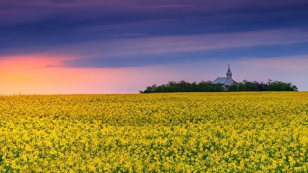 Ce judete au obtinut cele mai mari finantari pentru agricultura in campania 2017? Constanta, pe primul loc