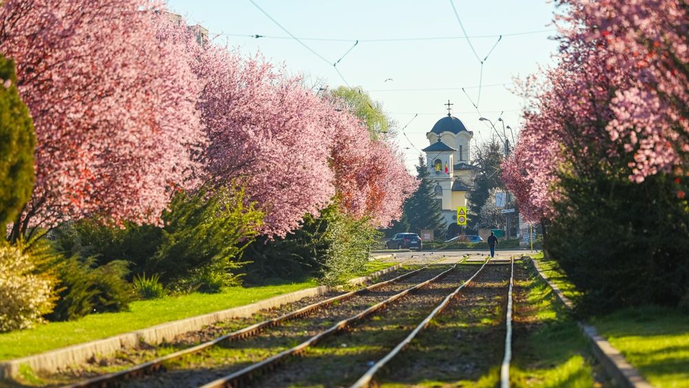 Ce poți face în București în 25-27 aprilie 2025? Târguri, festivaluri, evenimente și petreceri pentru acest sfârșit de săptămână