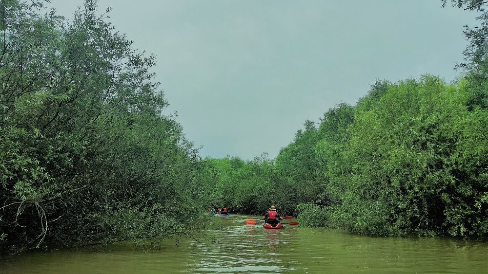 Fotoreportaj. Delta Argeșului, o gură de aer proaspăt la mai puțin de două ore din București. Cât costă să te dai cu caiacul