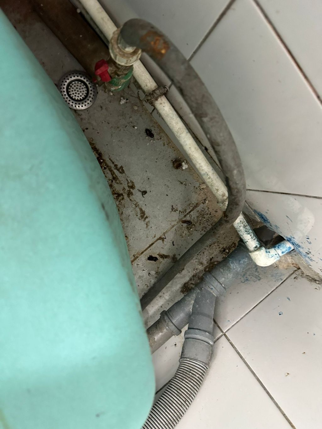 ANPC a amendat și închis temporar un important teatru cu restaurant din Capitală - Imagine 4