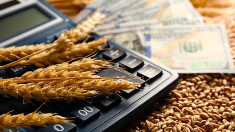 Ministerul Economiei pune la bataie circa 26 mil. lei pentru infiintarea de IMM-uri in mediul rural