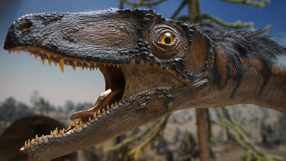 Descoperire istorică: Cercetătorii au găsit prima dovadă a unui mamifer mâncat de un dinozaur cu pene