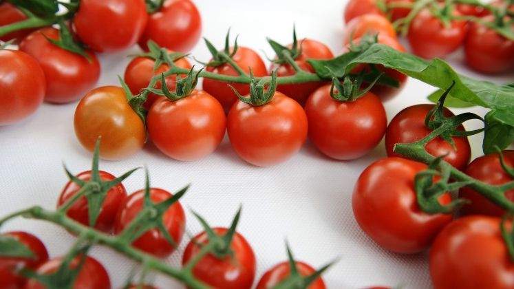 Consumatorul roman ajunge sa plateasca de doua - trei ori mai mult pentru legumele din piete