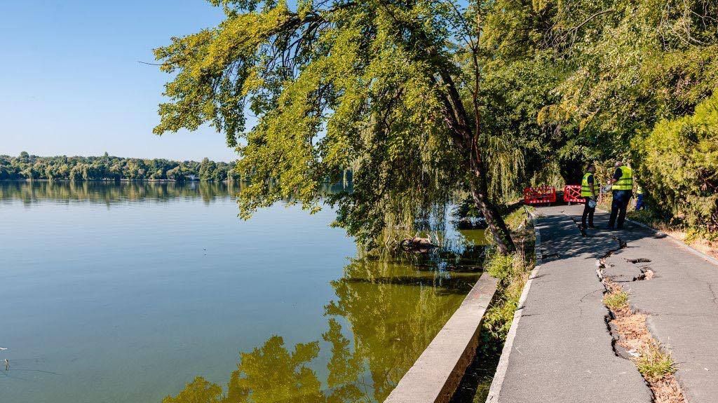 Încep lucrările pe Lacul Herăstrău: rațele vor fi mutate, peștii vor ajunge în următorul lac